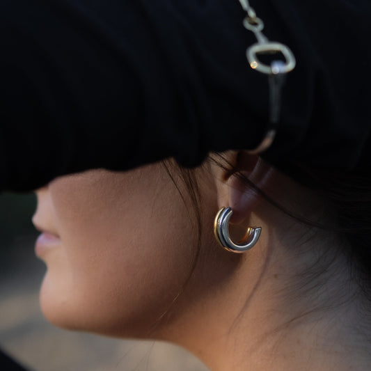 Mixed Metal Earrings