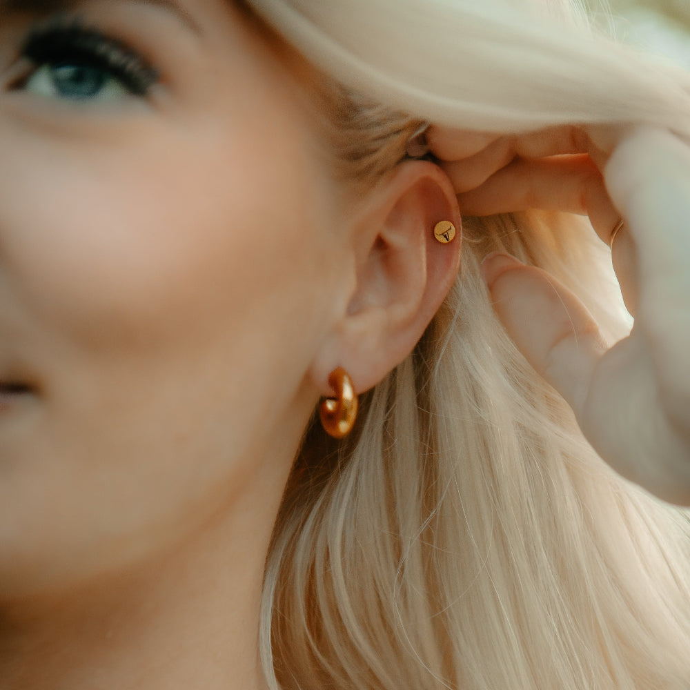 Icon Hoop and Stud Earring Set