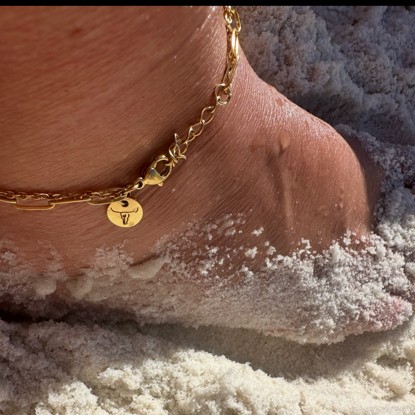 Icon Anklet