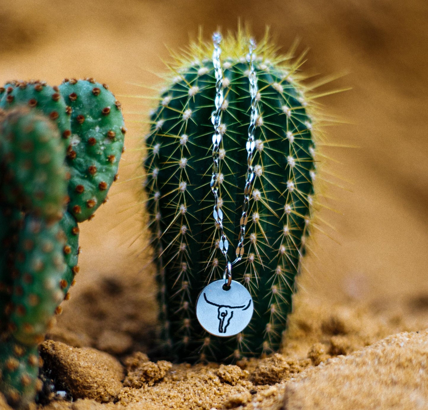 Icon Charm Necklace